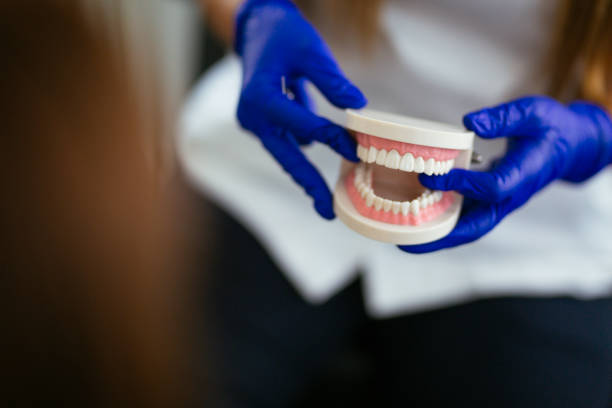 Best Preventive Dentistry  in Jim Thorpe, PA
